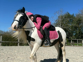 Ruby 12.3h mare
