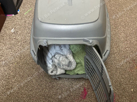 pet carrier