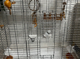 Vision cage