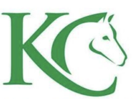 Looking for a nice little pony / horse