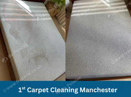 Carpet Cleaning after a pet accident, pet hair removal