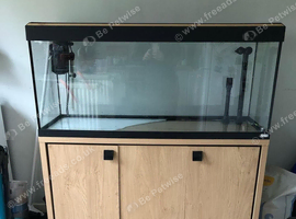 204l fish tank