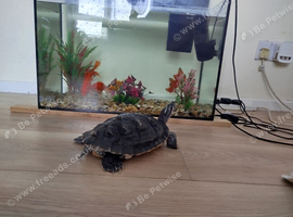 Selling aquarium