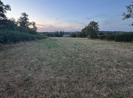 3 Acre Paddock for rent, Outside Frome, Somerset