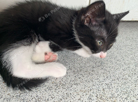 Black and white boy and girl