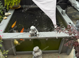 Full pond set up for sale including 4 koi
