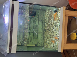 Aquarium