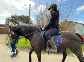 Wanted Full loan to move our yard 14h or up
