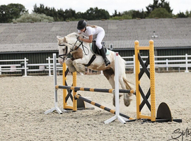 Gorgeous 14h fun cob alrounder