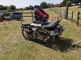 Marathon pairs vehicle