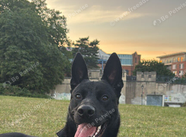 Milo