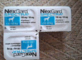 Flea Tablets