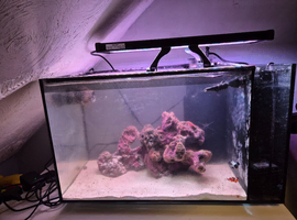 Fluval full marine set up