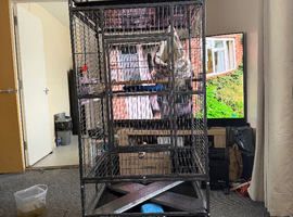 Parrot cage