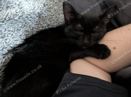 Rehome