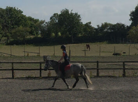 12.2 Reg Welsh