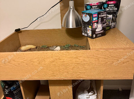 Horsefield tortoise and full set up