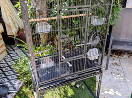 Bird Cages