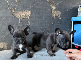 Blue Girl and boy ready to leave Friday