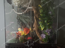 Vivarium