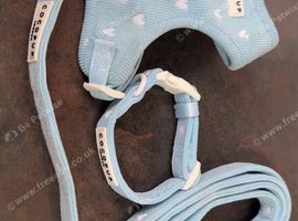 Coco pup powder blue cord harness set brand new size XXS