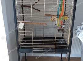 Large Parrot Cage