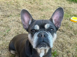 Coco