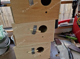 Budgie nest boxes