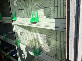 Double cages