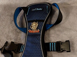 Unique opportunity for your pet Only 15 pounds personalized harness with Dracula