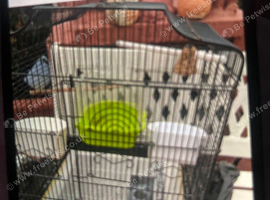 Bird cage