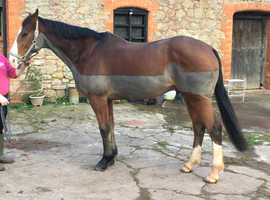 Clipping Services