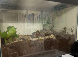 Custom Aquaria large enclosure