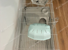 Guinea Pig Cage