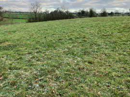 DIY grazing/stables optional , outside Didmarton