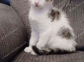Beautiful girl