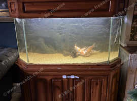 REDUCED *Large Bespoke Wooden Fish Tank For Sale