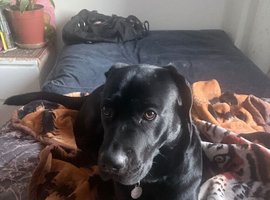 My beautiful girl youtab