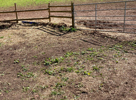 Small paddock