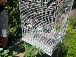 Large Bird cage with stand