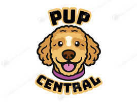 Dog Dog Groomer - Dog Grooming Services in Stretford M32