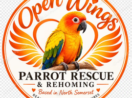 Open Wings Parrot Rescue