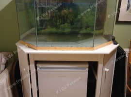 Large fish tank for sale