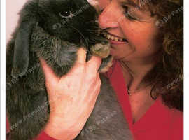 Holidays for Your Caged Pets with Sally