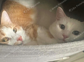 Bonded pair Gordon and Olaf