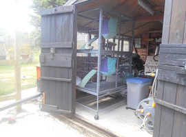 Ferret Cage