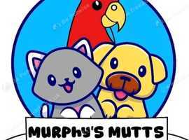 Murphy's Mutts