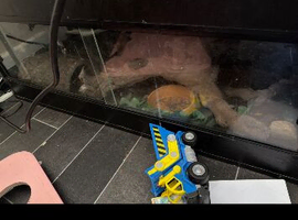 Nellie