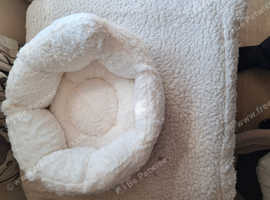 BRAND NEW CAT BED