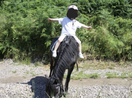 11.2hh 4 yr old mare lead rein